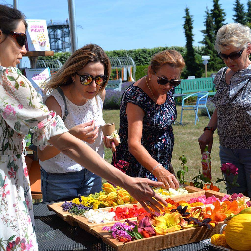 Kulinarny Festiwal Kwiatów Jadalnych w Dobrzycy