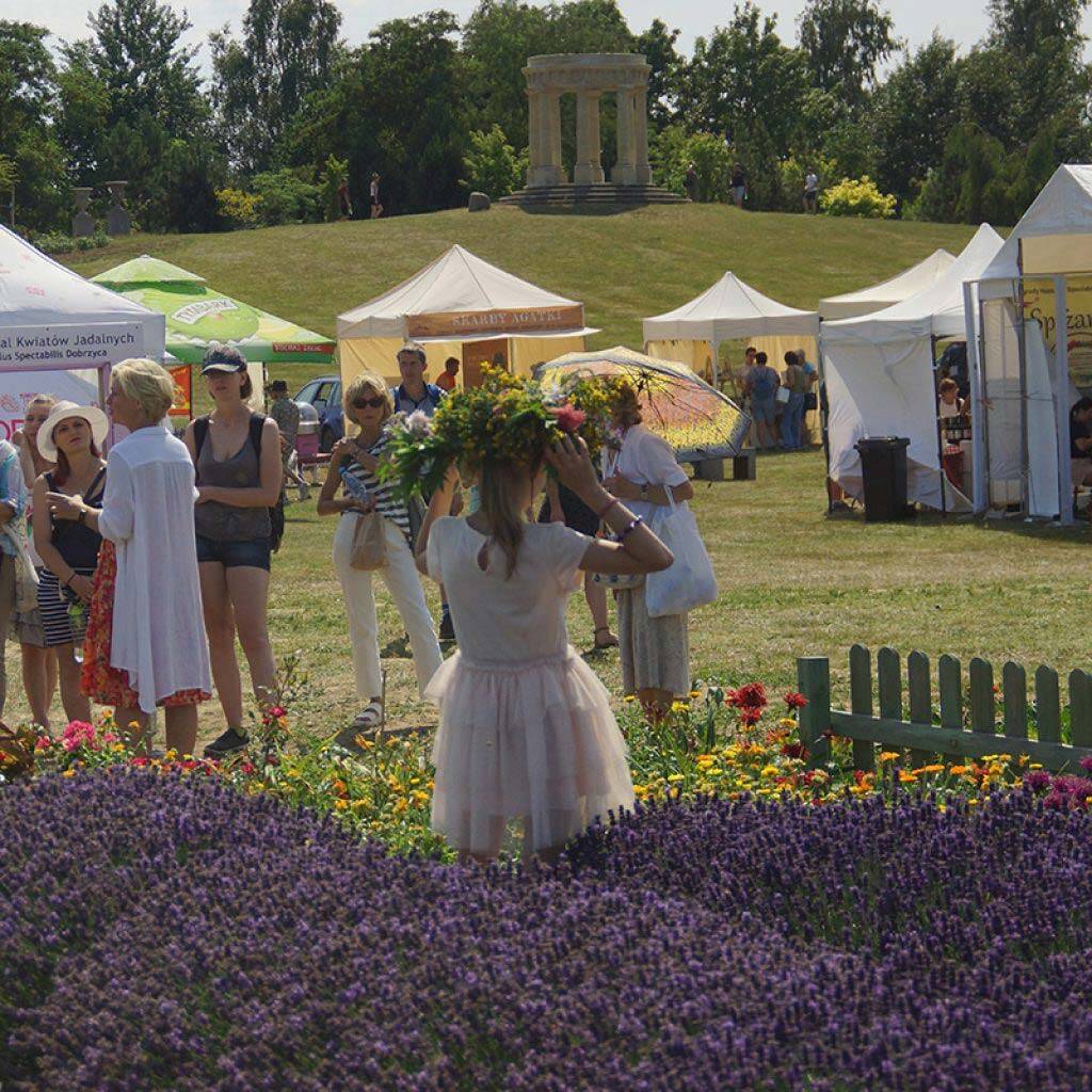 Kulinarny Festiwal Kwiatów Jadalnych w Dobrzycy