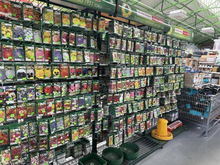 Ekspozycja na nasiona firmy PNOS