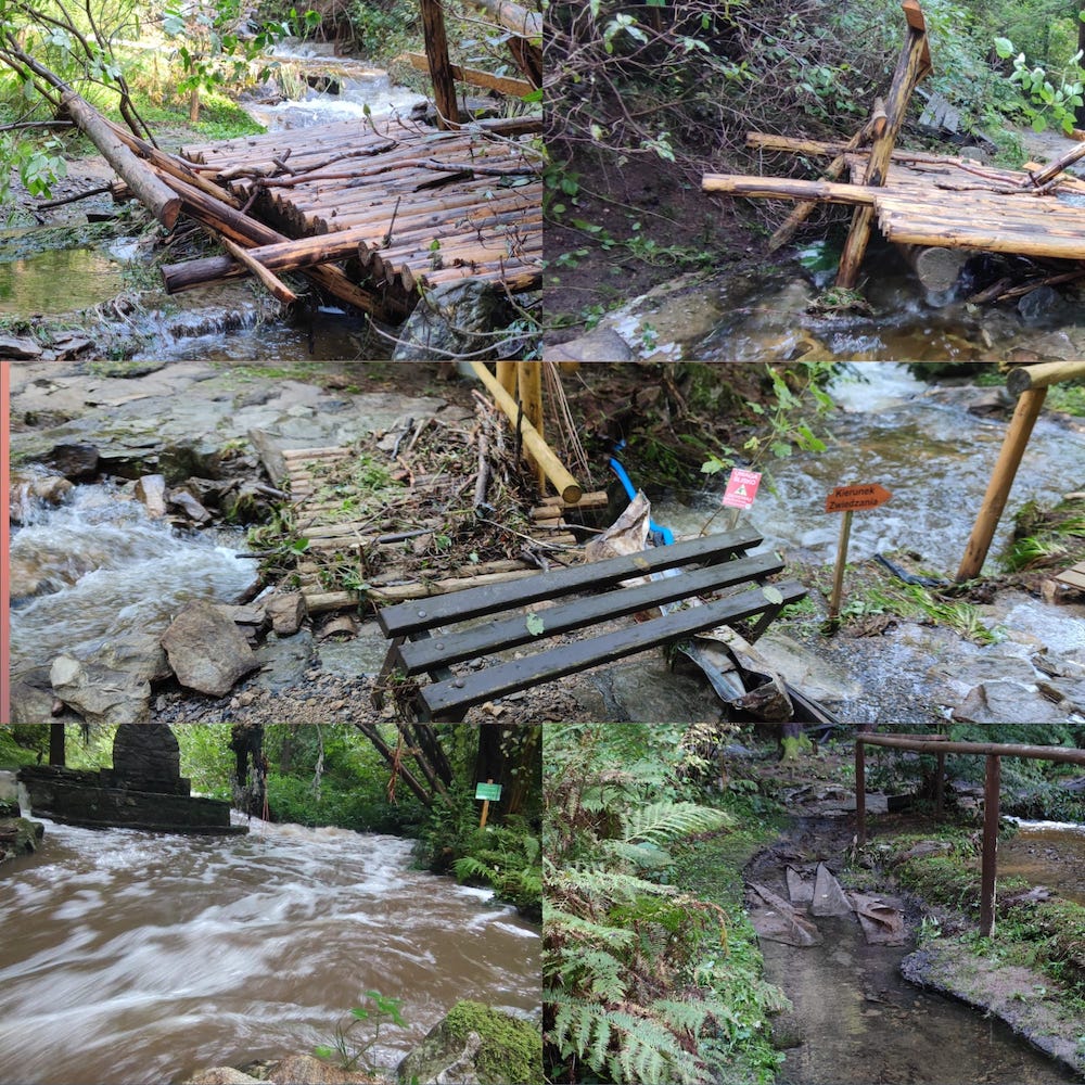 Zdjęcia z Arboretrum w Lądku Zdroju