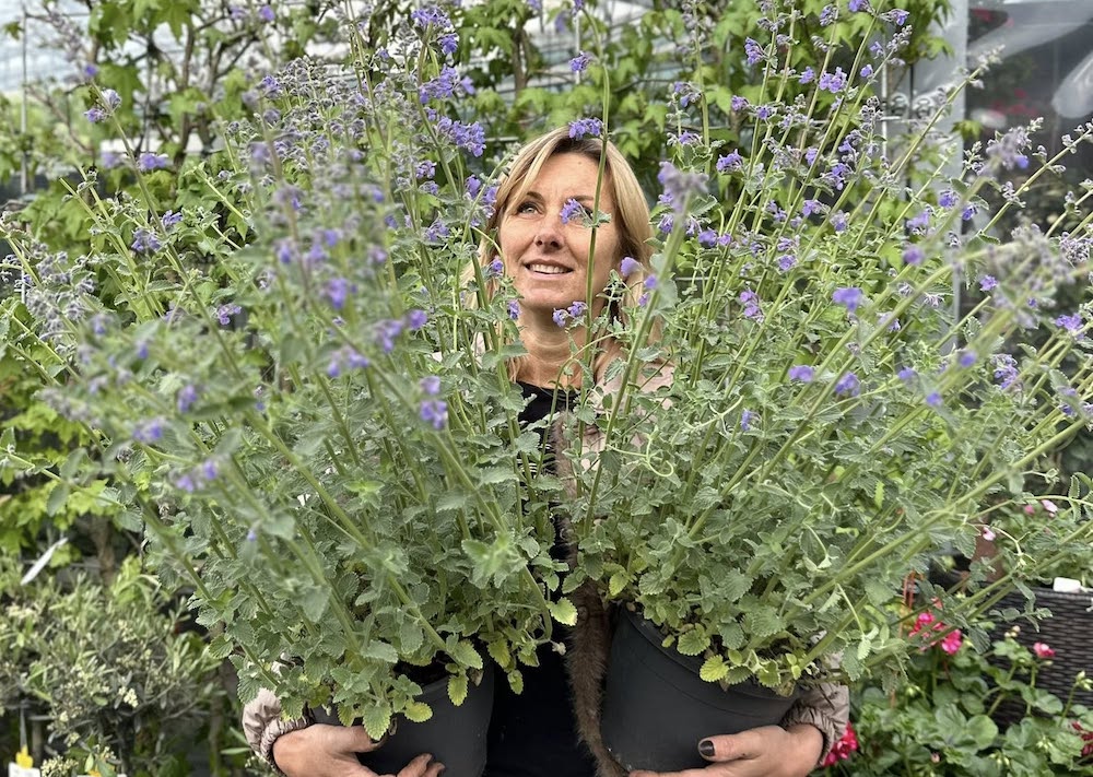 Monika Szuster