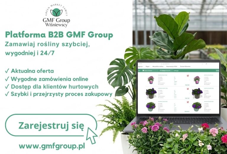 GMF Group Wiśniewscy